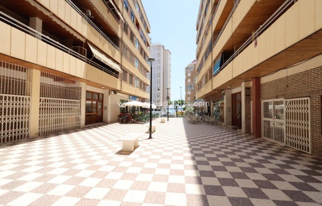 Revente - Appartement - Torrevieja - Costa Blanca