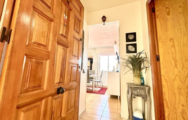 Herverkoop - Appartement / flat - Torrevieja - Costa Blanca