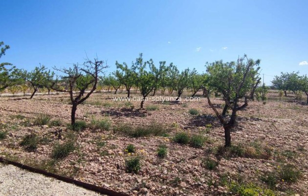 Resale - Villa - Pinoso - Inland