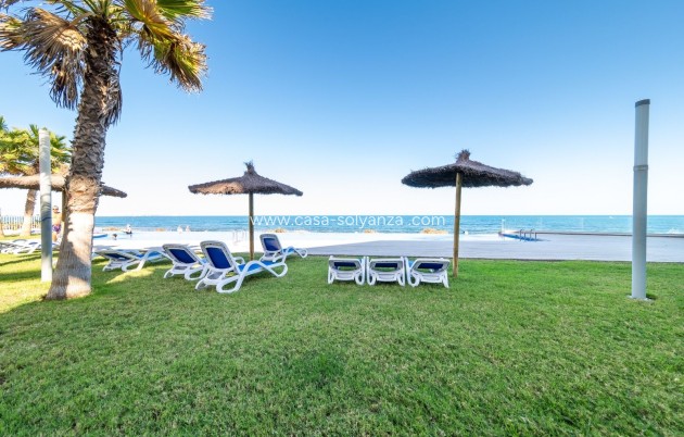 Herverkoop - Appartement / flat - Torrevieja - Costa Blanca