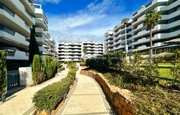 Herverkoop - Appartement / flat - Santa Pola - Costa Blanca