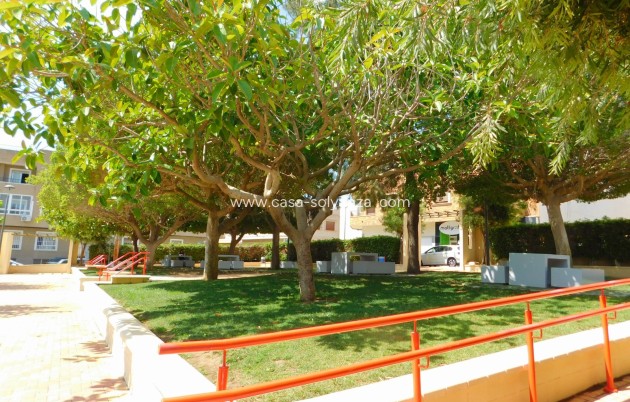 Langfristige Vermietung - Wohnung - San Miguel de Salinas - San Miguel Salinas
