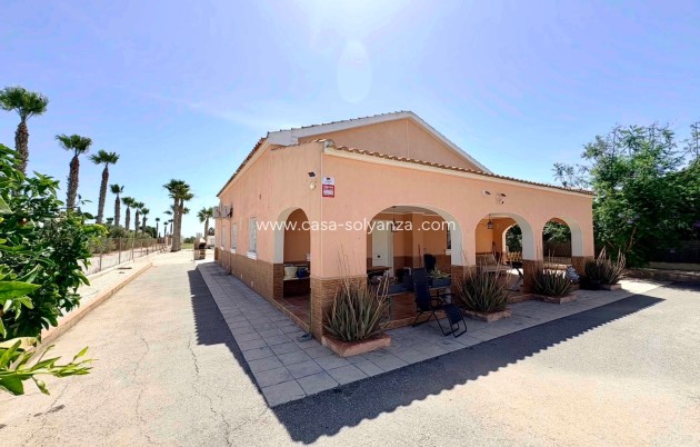 Herverkoop - Country Property/Finca - Dolores - Costa Blanca