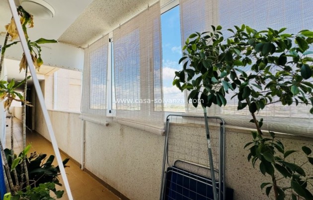 Herverkoop - Appartement / flat - Torrevieja - Costa Blanca