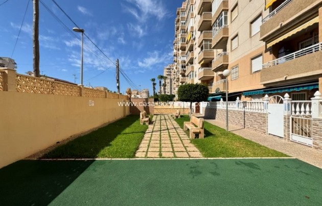 Herverkoop - Appartement / flat - Torrevieja - Costa Blanca