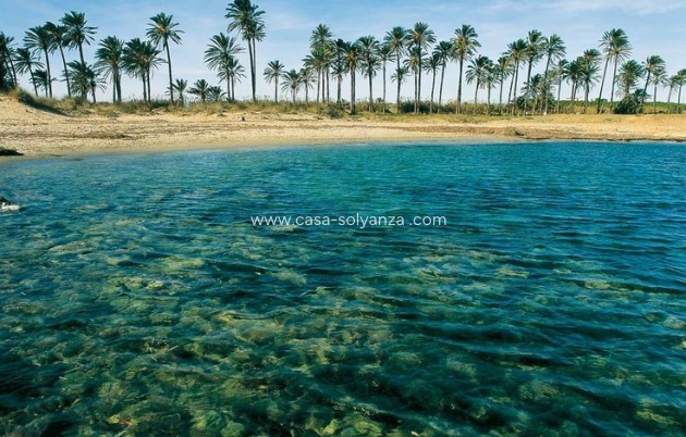 Herverkoop - Bungalow - Torrevieja - Costa Blanca
