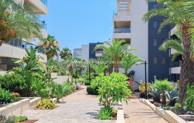 Herverkoop - Appartement / flat - Orihuela Costa - Los Dolses