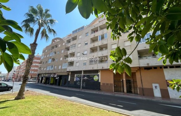 Herverkoop - Appartement / flat - Torrevieja - Costa Blanca