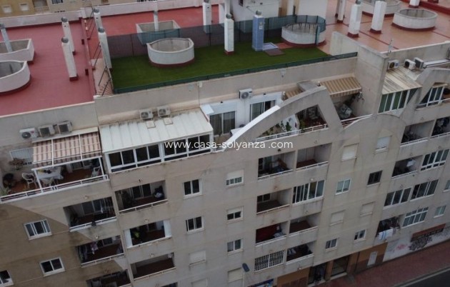 Herverkoop - Appartement / flat - Torrevieja - Costa Blanca