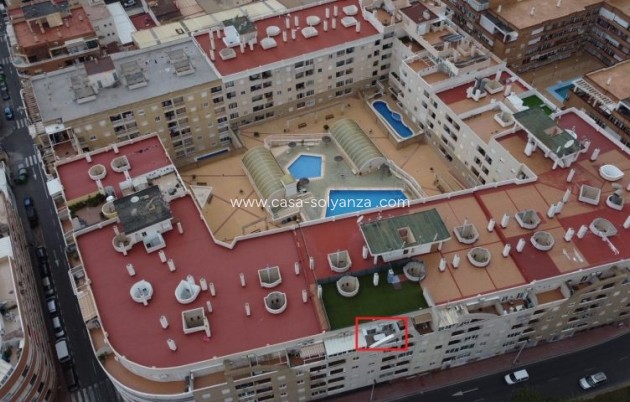 Herverkoop - Appartement / flat - Torrevieja - Costa Blanca
