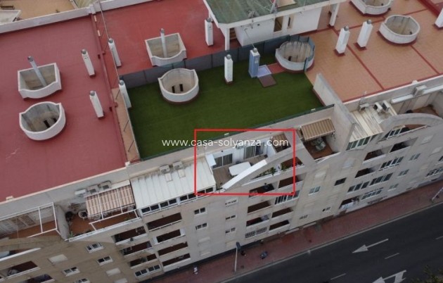 Herverkoop - Appartement / flat - Torrevieja - Costa Blanca