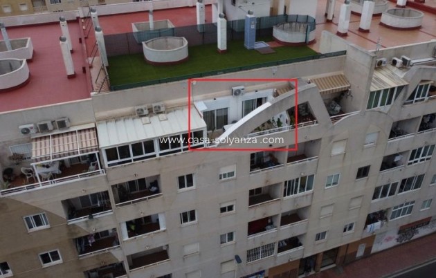 Herverkoop - Appartement / flat - Torrevieja - Costa Blanca