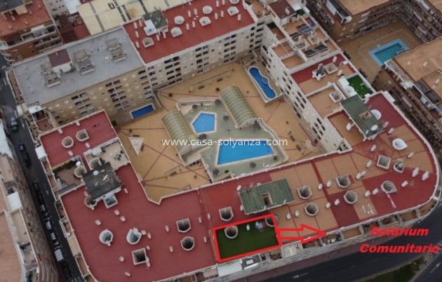 Herverkoop - Appartement / flat - Torrevieja - Costa Blanca