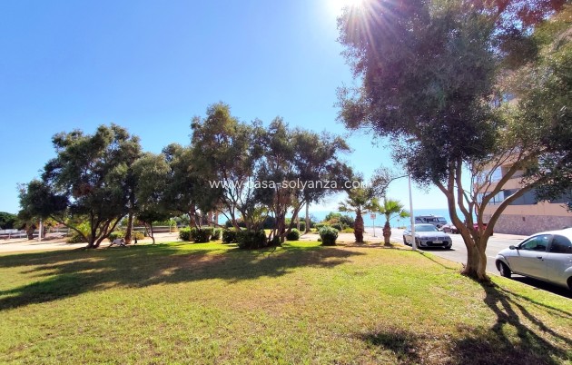 Herverkoop - Appartement / flat - La Mata - Costa Blanca