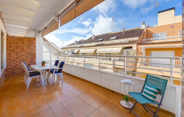 Herverkoop - Appartement / flat - Torrevieja - Paseo Maritimo