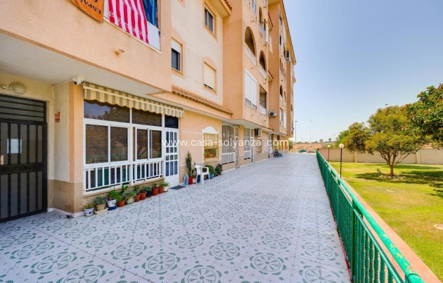 Herverkoop - Appartement / flat - Torrevieja - Parque Las Naciones
