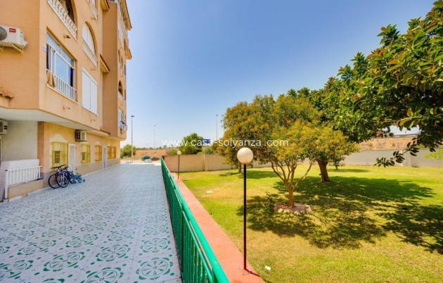 Herverkoop - Appartement / flat - Torrevieja - Parque Las Naciones