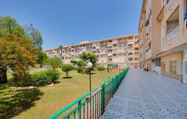 Herverkoop - Appartement / flat - Torrevieja - Parque Las Naciones