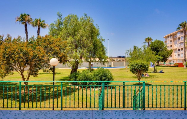 Herverkoop - Appartement / flat - Torrevieja - Parque Las Naciones