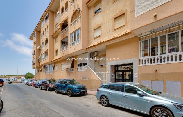 Herverkoop - Appartement / flat - Torrevieja - Parque Las Naciones
