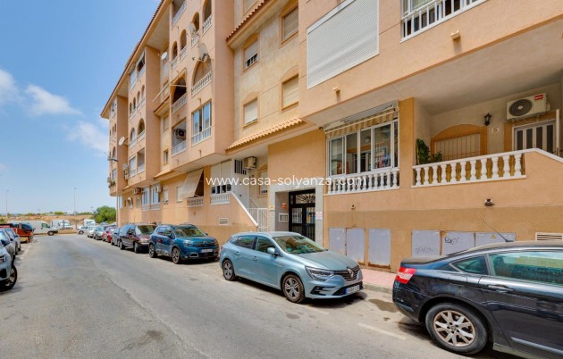 Herverkoop - Appartement / flat - Torrevieja - Parque Las Naciones