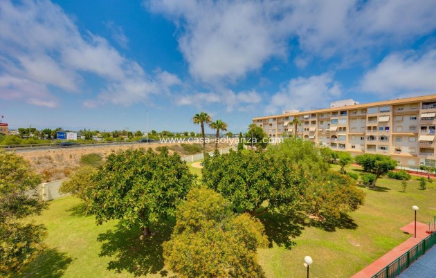 Herverkoop - Appartement / flat - Torrevieja - Parque Las Naciones