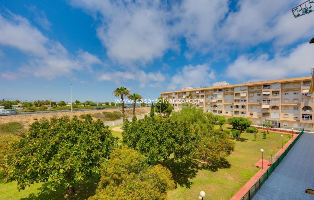Herverkoop - Appartement / flat - Torrevieja - Parque Las Naciones