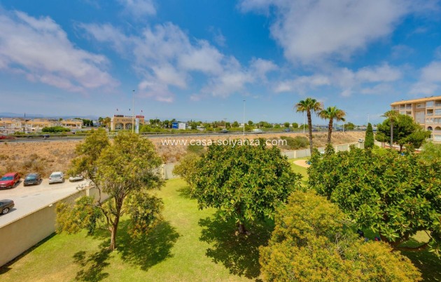 Herverkoop - Appartement / flat - Torrevieja - Parque Las Naciones