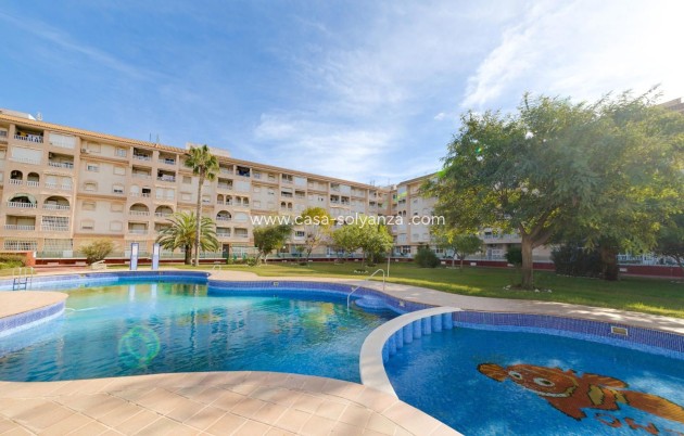 Herverkoop - Appartement / flat - Torrevieja - Parque Las Naciones
