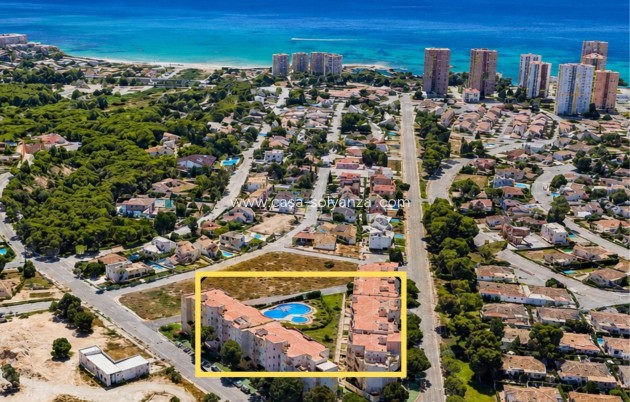Herverkoop - Appartement / flat - Dehesa de campoamor - Campoamor