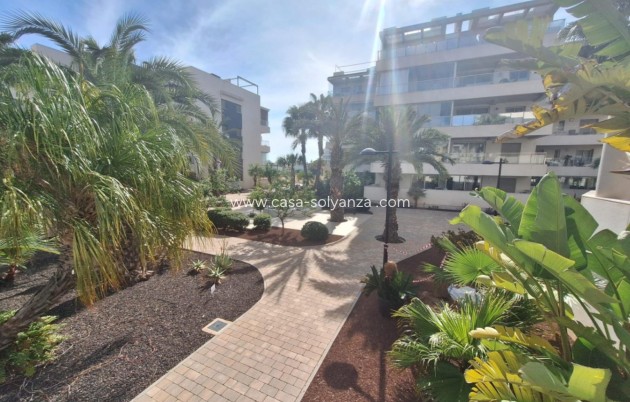 Herverkoop - Appartement / flat - Orihuela - Orihuela Costa