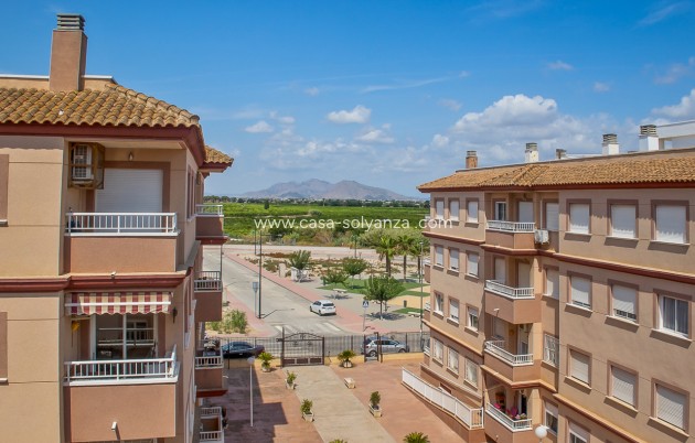Reventa - Apartamento / piso - Algorfa