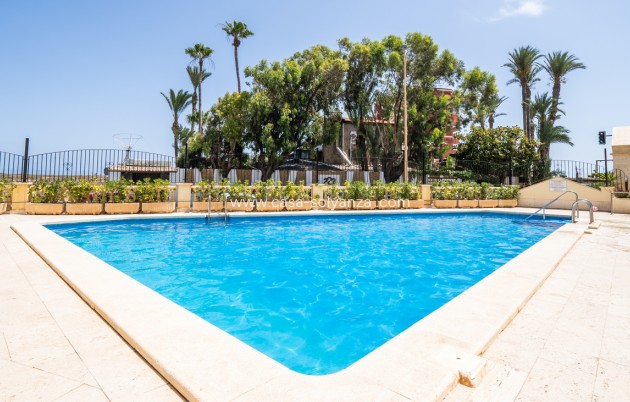 Herverkoop - Appartement / flat - Torrevieja - Costa Blanca