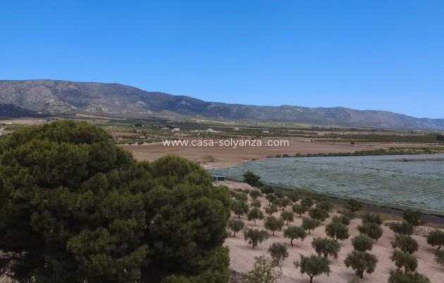 Revente - Country Property/Finca - Lel - Inland