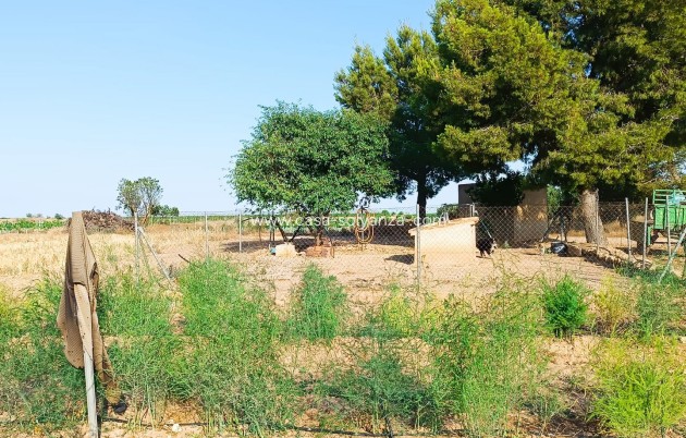 Herverkoop - Country Property/Finca - Yecla - Inland