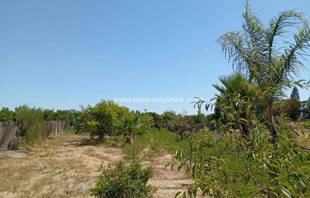 Herverkoop - Country Property/Finca - Daya Nueva - Costa Blanca