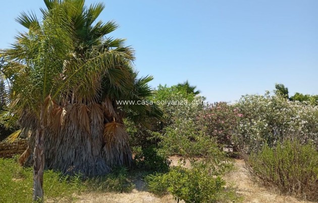Herverkoop - Country Property/Finca - Daya Nueva - Costa Blanca