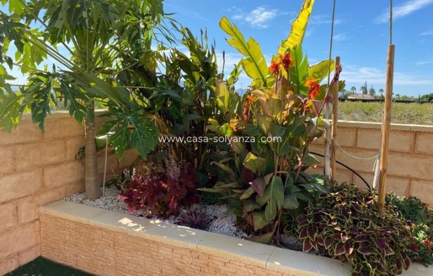 Resale - Country Property/Finca - Albatera - Inland