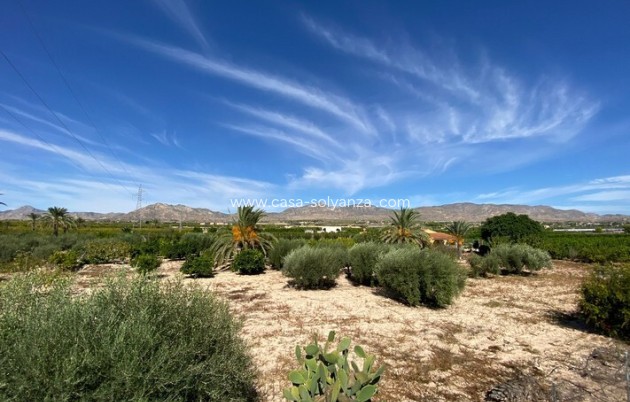 Resale - Country Property/Finca - Albatera - Inland