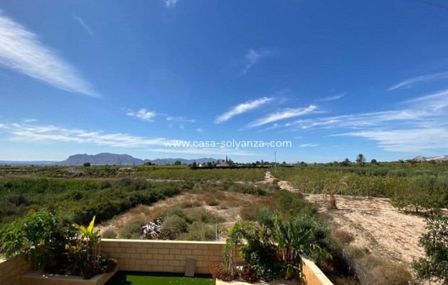 Resale - Country Property/Finca - Albatera - Inland