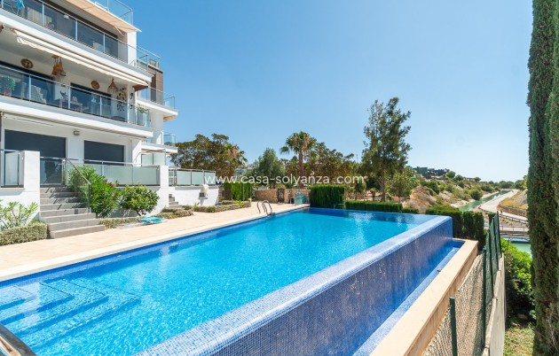 Herverkoop - Appartement / flat - Villamartin - Costa Blanca