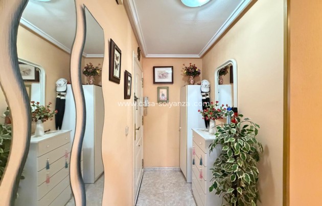 Herverkoop - Appartement / flat - Torrevieja - Playa del Cura