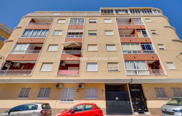 Herverkoop - Appartement / flat - Torrevieja - Estacion Autobuses