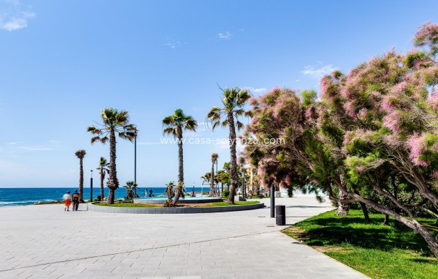 Herverkoop - Appartement / flat - Torrevieja - Estacion Autobuses