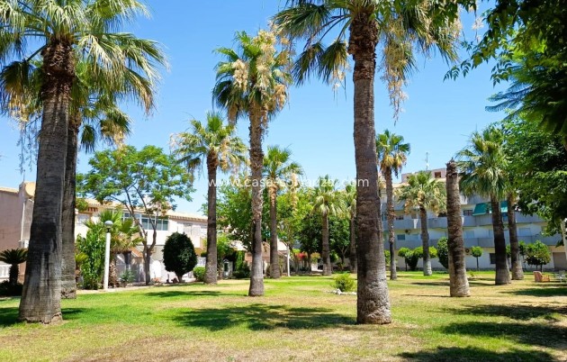 Revente - Bungalow - Orihuela Costa - Costa Blanca