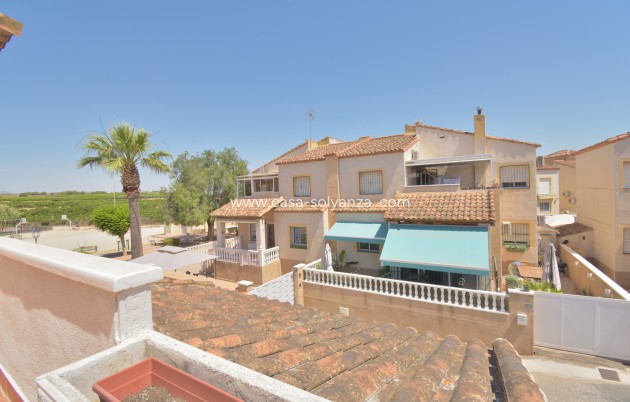 Revente - Quad - Algorfa - Montebello