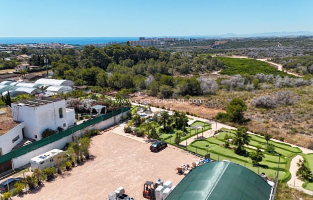 Revente - Appartement - Orihuela Costa - Lomas de Cabo Roig - Playa Golf