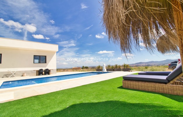 Revente - Villa - Pinoso - Inland