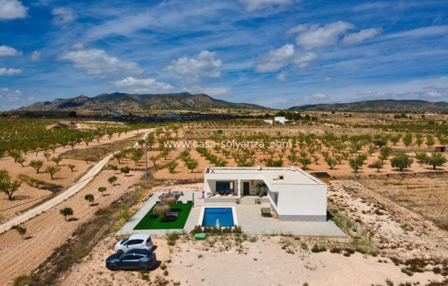 Revente - Villa - Pinoso - Inland