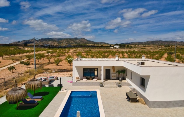 Revente - Villa - Pinoso - Inland
